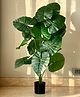 Mason Home Artificial Midas Pothos Plant - 3 Feet