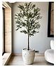 Mason Home Artificial Olive Tree - 7 Feet