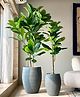 Mason Home Meadow Planter Grey