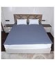 AVI 100% Waterproof & Dustproof Polyester Mattress Protector for Queen Size Bed Mattress- with Elastic Bands (60