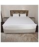 AVI 100% Waterproof & Dustproof Polyester Mattress Protector for Queen Size Bed Mattress- with Elastic Bands (60