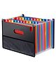 Storite 24 Pockets Expanding File Folders, Accordion File A4 Letter Size, Alphabetical Expandable Accordion Document Holder Bill Receipt Organizer (23 * 33Cm), Black