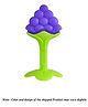 Numum Baby BPA Free Natural Organic Freezer Safe Silicone Teething - (Blue Fruit Teether)( Color and design may vary)