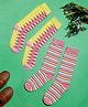 Tipy Tipy Tap Pack Of 2 Striped Socks - Multi Colour