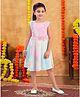 Aarika Woolen Woven Sleeveless Floral Applique Detailed Tie Dye Dress - Multi Colour