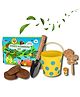 Lattooland Junior Gardening Set |  Flower growing set for Kids with Child-sized Shovel, planter, seeds, soil, plant marker