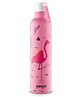 Pexpo Oslo Hot & Cold Stainless Steel Water Bottle |Vacuum Insulated Flask|ISI Certified |750 ml, Pink-Flamingo Bird Print| Office | Home |Gym|Adults
