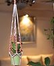 Sarmaya Peach Web Macrame Plant holder