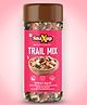 SnaXup Premium Absolute Health Dry Fruits Trail Mix 300 g
