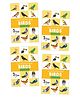 My First Picture Book of Birds, Set of 4 Books - English