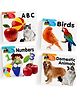 Kids Board Books, ABC, Numbers, Birds, Domestic Animals, Set of 4 Books - English