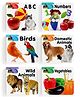 Kids Board Books, ABC, Numbers, Birds, Domestic Animals, Wild Animals, Vegetables, Set of 6 Books - English
