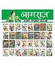 Nagraj Ultimate Comics Collection - Set of 32 Books  - Hindi