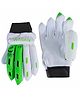 Wasan Cricket Batting Gloves Small- Green/White