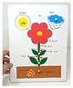 A&A Kreative Box Wooden Puzzle -Parts of a Plant-6Pc