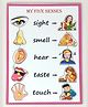 A&A Kreative Box Five Senses Wooden Puzzle-10 Pc
