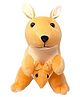 A&A Kreative Box Kangaroo With Peeking Baby- Plush Toy-Premium Quality - Height 35 cm