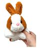 A&A Kreative Box Baby Rabbit Plush Toy-Premiun Quality-Available in Assorted Colours - Length 31 cm