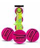 jaspo Activo Tennis Cricket Ball, 66mm, Wool Felt Cover, 80g Weight, High Bounce Rubber Core,Premium Tennis Cricket BallsSuperior Grip & Durable Performance for Practice & Matches (Pack of 3, Pink)