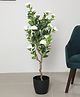 ARICK DECOR 4.Ft Artificial Camellia Rose Flowers Plants for with Pot for Interior Decor/Home Decor/Office Dcor (120 cm Tall, Multicolor)