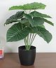 Arick Decor 1.8Ft Artificial Rubber Plants with Basic Black Pot | 12 Green Leaves Natural Looking Plant