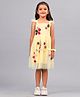 Zion Sleeveless Frill & Floral Applique Detailed Dress - Yellow