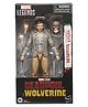 Marvel Legends Series Headpool With Marvel's Logan Deadpool & Wolverine Collectable Action Figure - Grey
