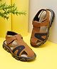 Tiny Bugs A Alphabet Patch Embroidered Sandals With Velcro Closure - Tan