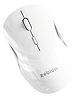 Zebion Connect-3 Wireless Optical Mouse-White