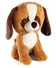Babyhug Glitter Eyes Dog Soft Toy Brown - Height 38 cm