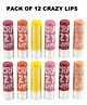 Favon Professional Pack of 12 Waterproof Crazy LipBalms
