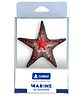 CAMBAY Mumma Starfish Metallic Souvenirs Memory Gem Gift - Black with Neon Pink