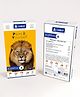 CAMBAY  3D Lion Face Paint it Yourself Kit Souvenirs Memory Gem Gift