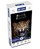 CAMBAY  3D Leopard Face Paint it Yourself Kit Cambay Souvenirs Memory Gem Gift