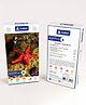 Cambay 3D Starfish Paint it Yourself Kit
