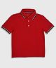 Tommy Hilfiger Knit Half Sleeves Solid Color Polo T-Shirt - Red