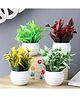 Foliyaj Set Of 4 Green, White, Yellow And Red Mini Plants With Small White Lines Pots (Set Of 4)