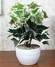 Foliyaj Artificial Ivy Plant In White Bowl Shaped Pot With Embedded Brown Stones