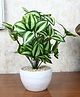 Foliyaj Artificial Watermelon Plant With White Pot