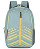 Nasher Miles Geography Backpack 31 Liters(Green)