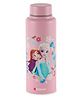 Cello Vortex 3D Anna & Elsa Stainless Steel Water Bottle - 700 ml