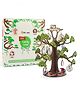 Mittimate DIY Family Tree for Kids Age 8 to 12 Year Old I Make Your Own Wooden DIY Model I 3D Model Building Kit I Birthday Gift for Kids