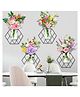 JAAMSO ROYALS Plant Wall Sticker Cat Leaf Sticker Wall Sticker Cactus Stickers (50cm x 70cm)
