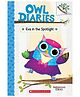 Owl Diaries #13: Eva In The Spotlight (A Branches Book)