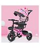 Kidsmate Deluxe Kids Tricycle with Adjustable Canopy | Durable Plug & Play Baby Trike with Safety Rail & Push Handle for Parents | Safe & Comfortable Ride for Toddlers 12-48 Months - Pink