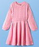 Pine Kids Knit Full Sleeves Woolen Dress  with Cable Knit Design - Pink