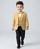 Babyhug Knit Full Sleeves Solid Four Piece Party Suit Set with Bow - Light Brown
