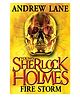 The Sherlock Holmes Fire Storm Story Book by Andrew Lane - English