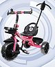 Stepupp Tricycle With Bottle And Parental Handle For Kids - Pink