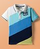 Pine Kids Cotton Knit Polo T-Shirt With Baseball Text Embroidery - Blue